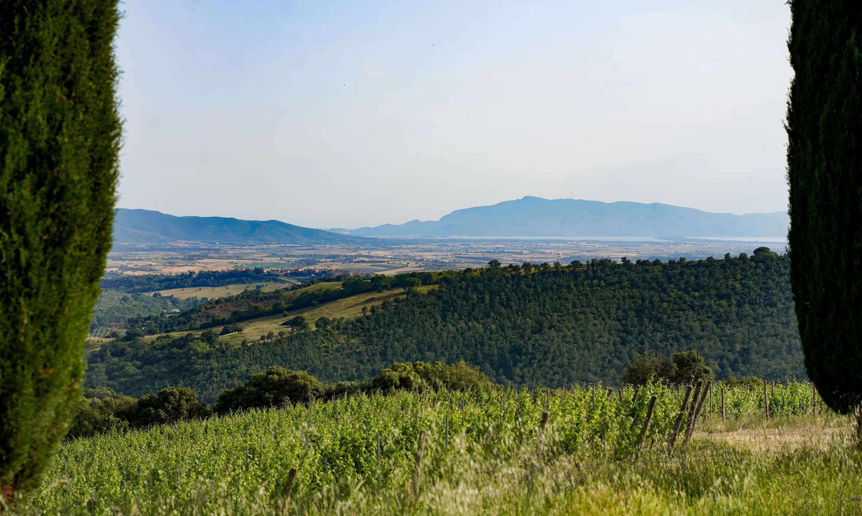 La Maremma