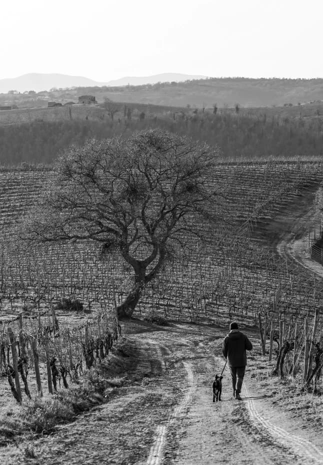 La Maremma