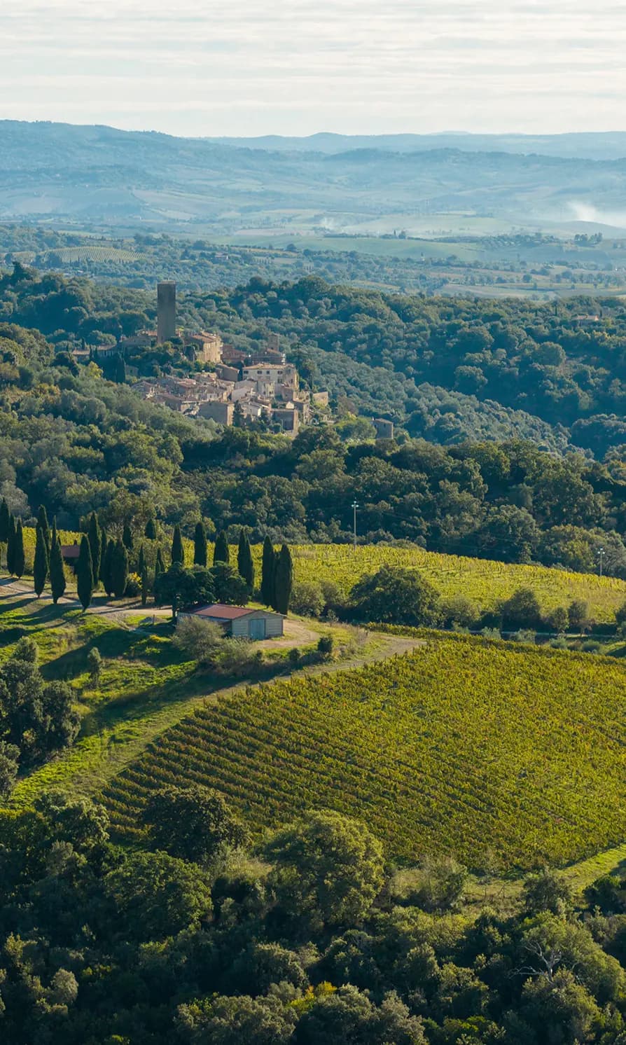 La Maremma